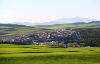Ain abbassa